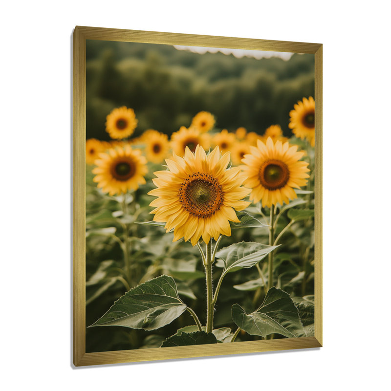 Gerardi - art mural floral, H 20 po x l 12 po, Picture Framed Print, Doré