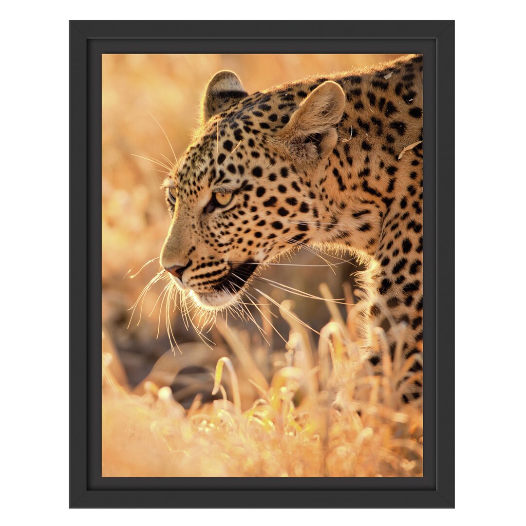 Gerahmtes Wandbild Jagender Leopard