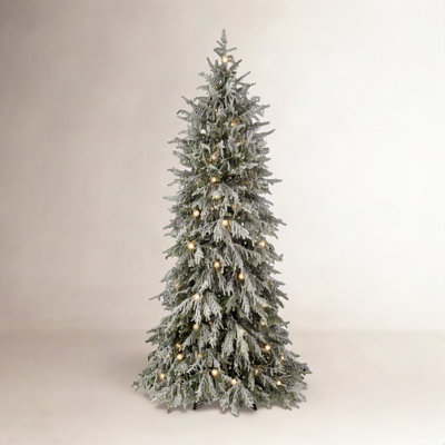 6' Microled Snowy Norfolk Tree49"D500L+49G40