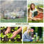 Ahyan Mini Greenhouse Small Plant Grow House-636843960