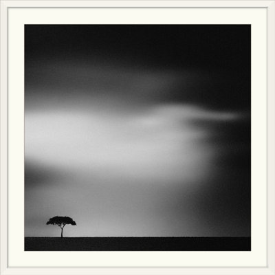 Straub " The Plains " by Piet Flour