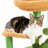 Oasis Series 32-Inch Cactus Plush Cat Tree