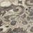 Machine Washable Indoor/Outdoor Xhevrie Chocolate Rug-993377720