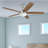 Ashby 52" Ceiling Fan with LED Light-2000651165