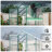 Newly Marketed Gain Height Windproofaluminum Greenhouse 6X6 FT Polycarbonate Greenhouse Raised Base And Anchor Aluminum Heavy Duty Walk-In Greenhouses For Outdoor Backyard In All Season-124869902-124869909