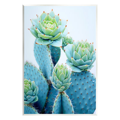 Art mural cactus avec fleurs succulentes par RB