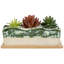 Planter Box