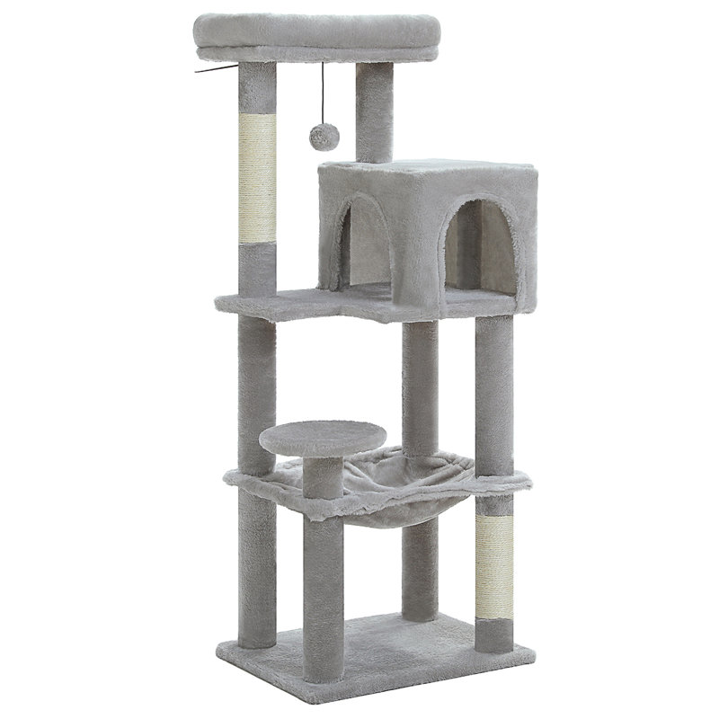 Arbre à chat, Gris