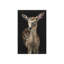 Coming Spring Print by Sarah Atkinson-26925687-26925688