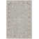 Castanon Oriental Gray Area Rug