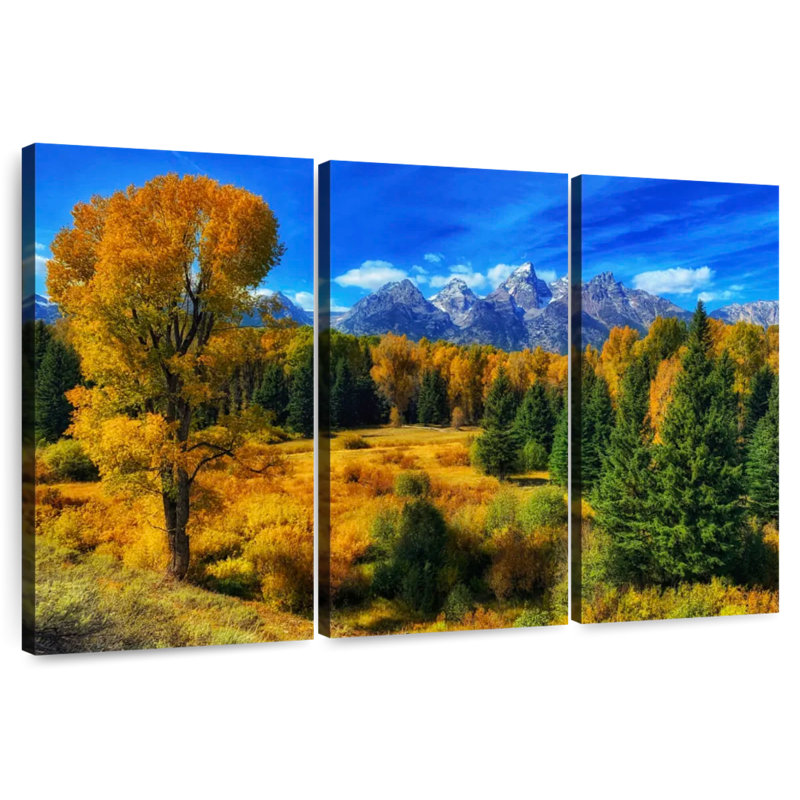 Alvord Jackson Hole Wyoming en automne, H 36 po x l 57 po