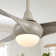 Coleigh 52'' Ceiling Fan with LED Lights