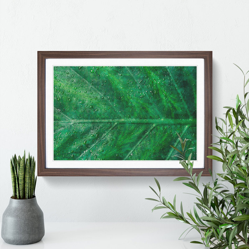 Green Leaf Pattern - Framed Print, 36cm H x 48cm W x 2cm D, Walnut Framed