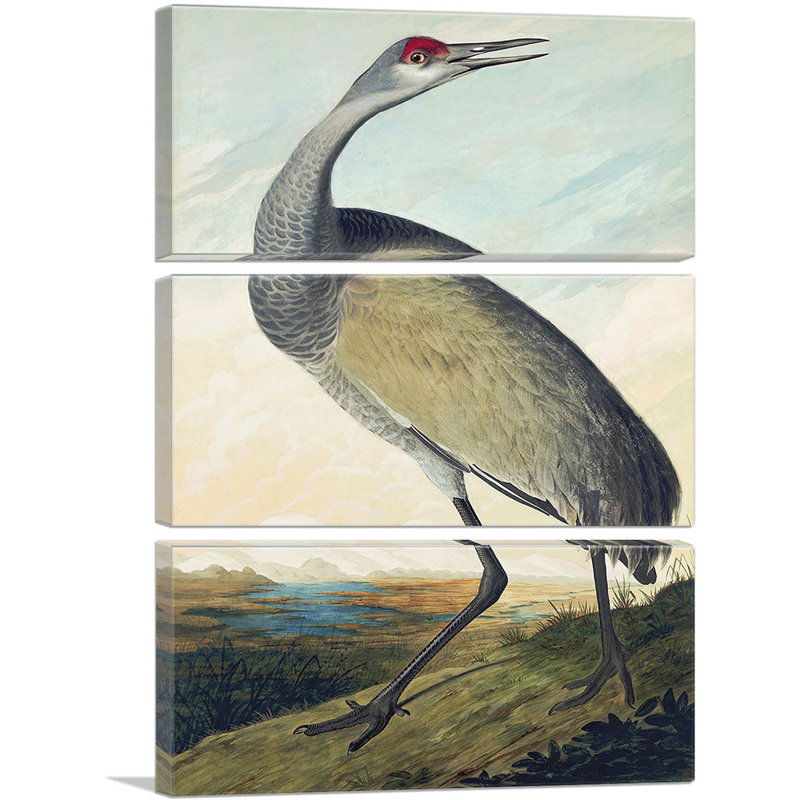 «Sandhill Crane» par James Audubon, ensemble de 3 reproductions d'art sur toiles tendues, H 60 po x l 40 po x P 0,75 po