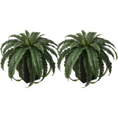 Adcock Set of 2 Artificial Boston Fern Bush Plant with Black Tapered Planter - UV Resistant Faux Ferns with 33 Leaves