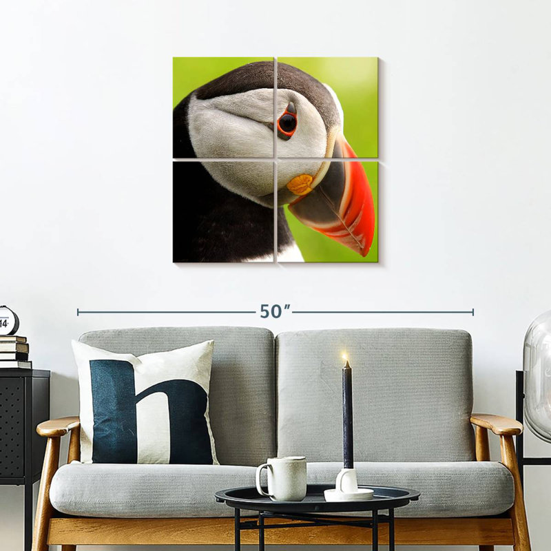 Brampt Wild Puffin, 26" H x 26" W