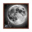 Moonstruck by Jason Brueck - Floater Frame Print on Canvas-1104257807-1104257806