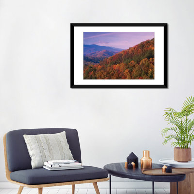 «Fall Coloured Forest, Appalachian Mountains, Great Smoky Mountains National Park, North Carolina» par Tim Fitzharris, reproduction sur toile tendue sur châssis