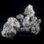 Cristal Latunja