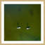 Karolis Janulis - Single Picture Frame Print-18344023