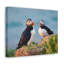 No Frame Print on Canvas