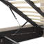Amaryllis Queen Upholstered Lift Up Storage Bed-1015900174