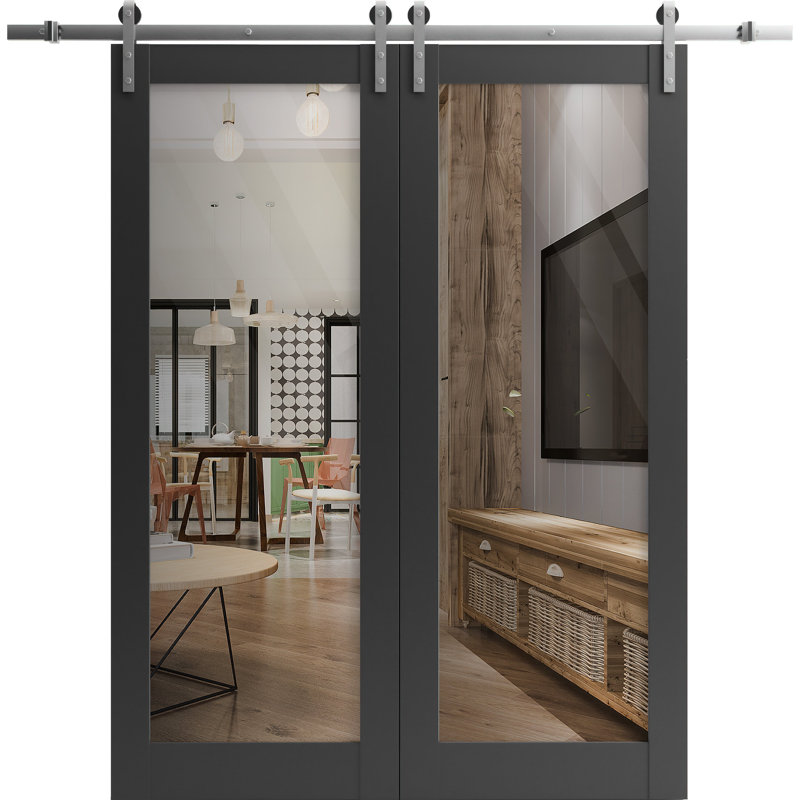 Porte de grange double robuste | Verre transparent noir mat Lucia 2166 | Ensemble de 13 cintres lourds pour rail | Portes intérieures solides