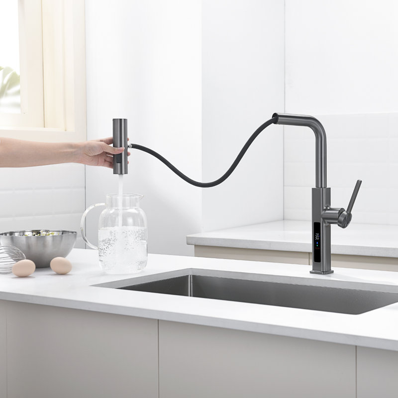 Single Handle Kitchen Faucet with Accessories, Gray