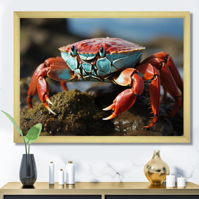 Crab Coastal Scavenger - Animals Wall Decor