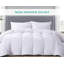 All Season Comforter-87416006