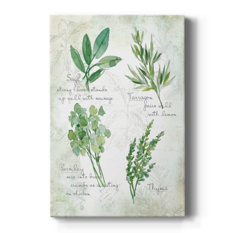 Herbes fraîches II - Cavas enveloppés de galerie, H 27 po x l 18 po