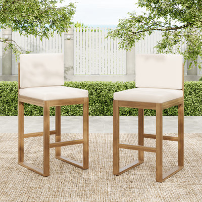 Lot de 2 chaises d'extérieur en bois brun, avec coussins d'eau et pieds fuselés pour un style rustique moderne. Profondeur : 51,3 cm, largeur : 45,7 cm. Matériau : bois beige non poreux. Design vintage intemporel.