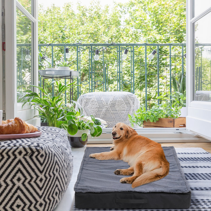 Orthopedic Pet Bed, 10cm H x 120cm W x 75cm D