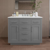 Beckett TK 42'' W Vanity