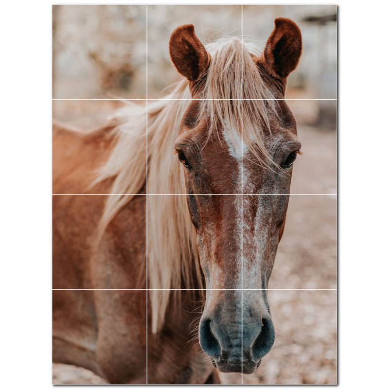 Murale en céramique satinée Horse Photo 8 po x 8 po