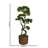 Panama 37" Artificial Bonsai Tree in Planter