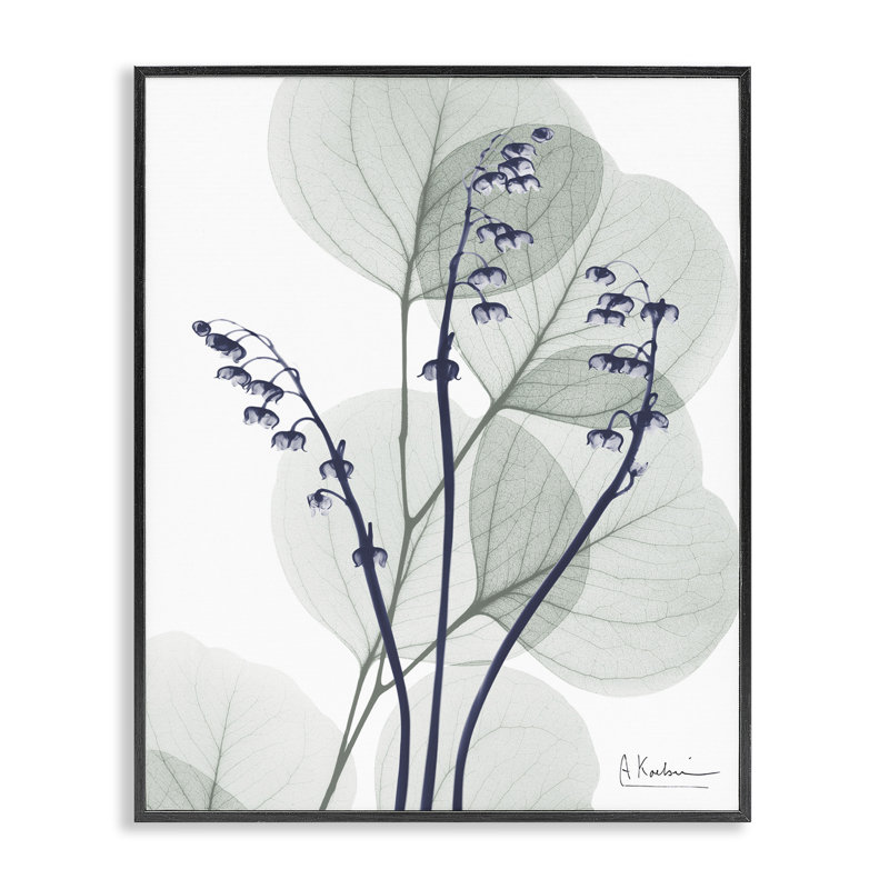Eucalyptus serein moderne, estampe numérique, conception par Albert Koetsier, H 14 po x l 11 po, Giclée encadrée noir minuit