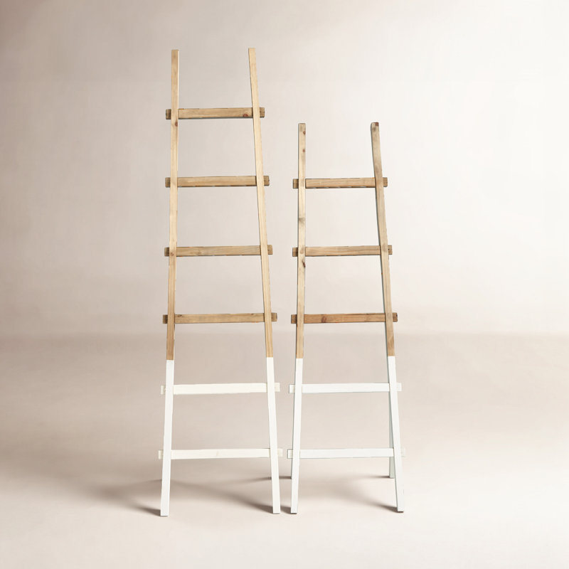 Dipped 6 ft Blanket Ladder