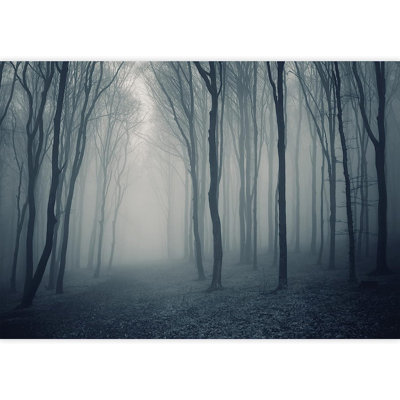 Murale forêt sombre The Misty