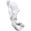 Sculpture crochets muraux nautiques-1974793191-1974793188