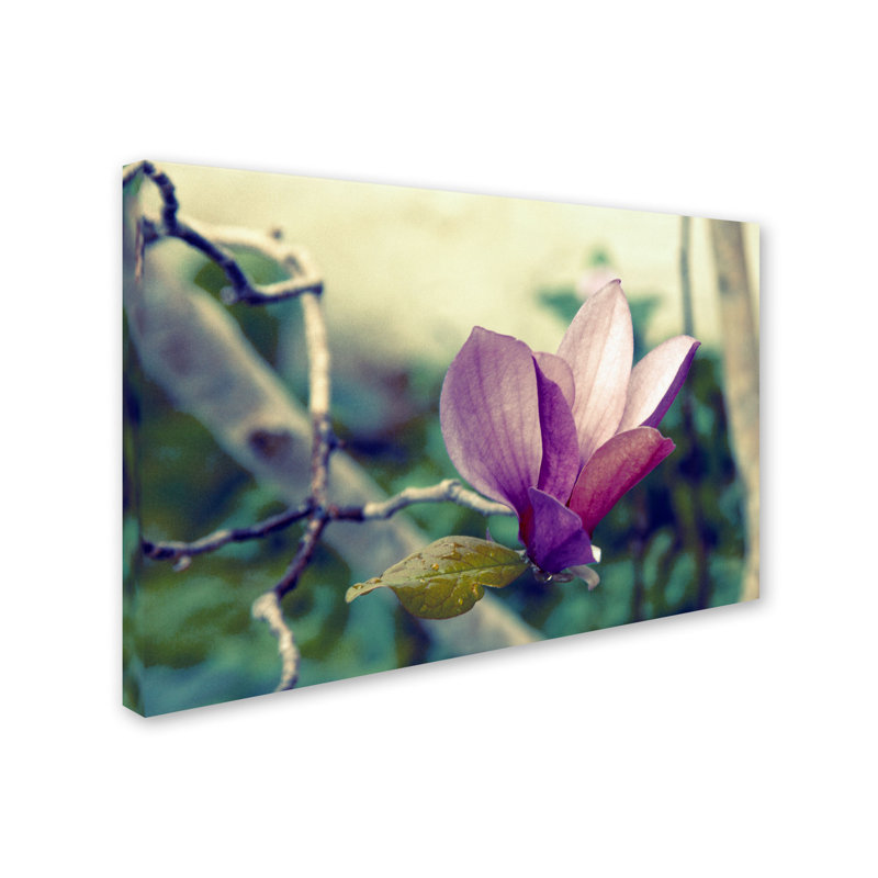 Pink Magnolia Flower Canvas Art in Frameless Presentation