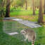 Cage pour petits animaux Ezavier