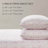 Jessica Simpson Microfiber Sheet Set with Extra Pillowcases-129208506-129355337