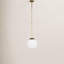 Luminaire suspendu simple à 1 lumière Cleary-1205207014