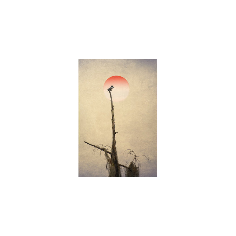 Wrapped Canvas Print, 76.2 cm H x 50.8 cm W