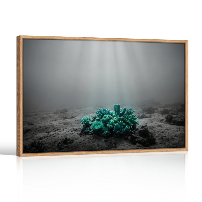 Ensemble de 1 tableau sur toile représentant des coraux sous-marins, H 24 po x l 36 po, Naturel