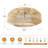 Terminous 20" Ceiling Fan with Light Kit