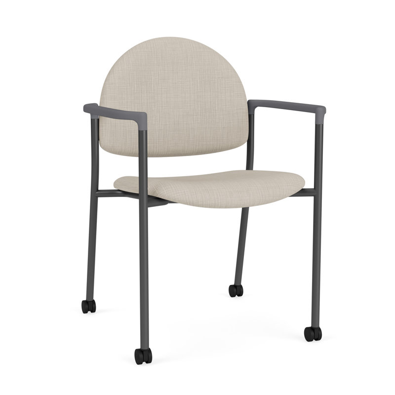 Chaise d'invité à chat avec roulettes, Gris anthracite, Plot Line neutre