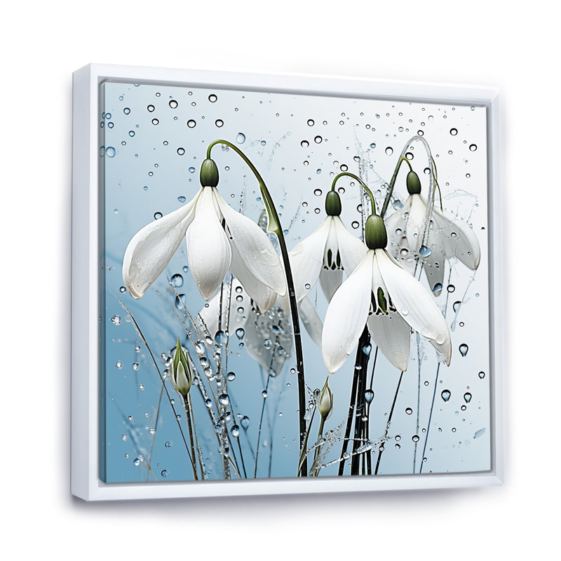 «Minimalisme Snowdrop Flower Photo IV», reproduction d'art sur toile, Cadre flottant blanc, 24" H x 24" W