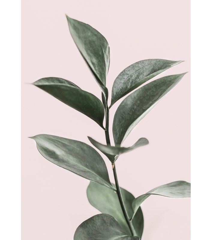 Foliage, 91.44 cm H x 60.96 cm W